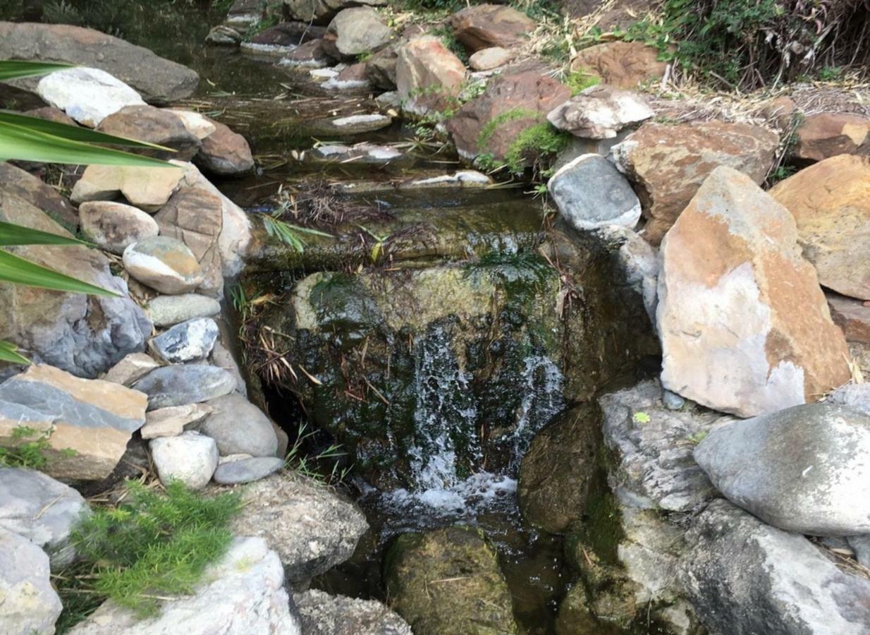 Jardines De Las Golondrinas มาร์เบยา ภายนอก รูปภาพ